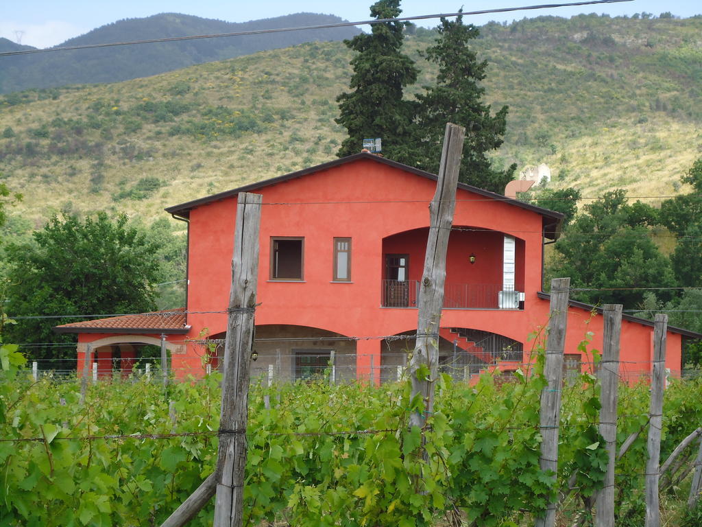 Agrituirsmo Masseria Campierti Falciano del Massico Exteriér fotografie